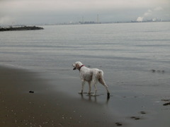 CIMG0065