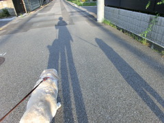 CIMG0269