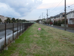 CIMG0423