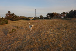 DSC00414