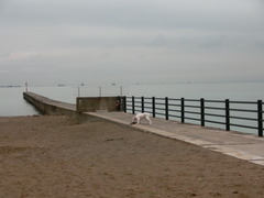 CIMG0051