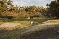 DSC00610