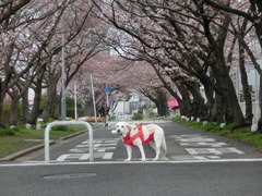 CIMG0697