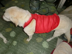 CIMG0535