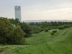 CIMG1040