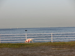 CIMG0524
