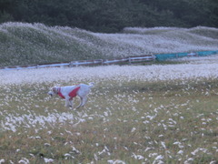 CIMG0527