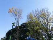 08 003