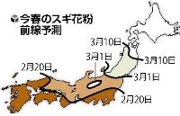 花粉症・花粉情報