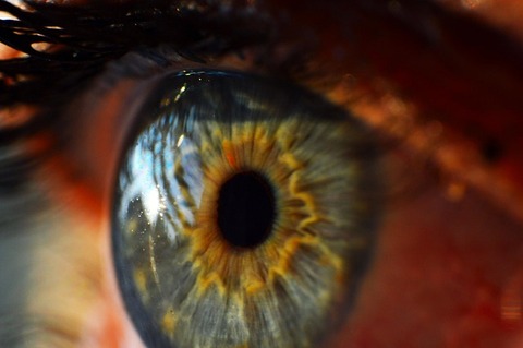 human-eye-995168_640