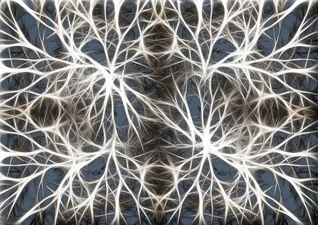 neurons-582054_640