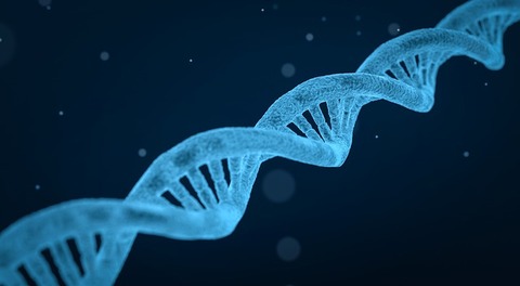 dna-3656587_640