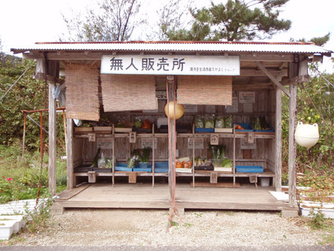 kagakunojikan