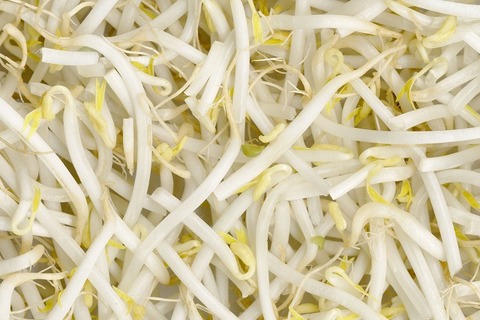 kagakunojikan