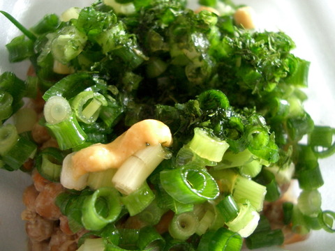 kagakunojikan
