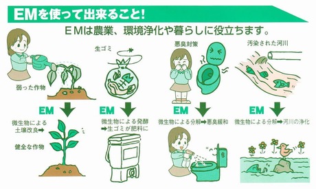 EM11