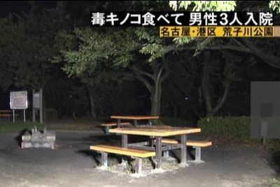 kinoko