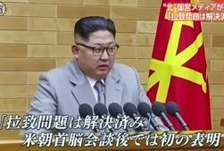 拉致問題