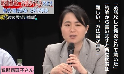 「新党の代表は難しい」