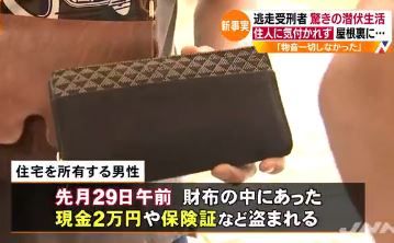 平尾龍磨