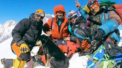 ヒマラヤ登頂 犬