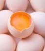 tamago