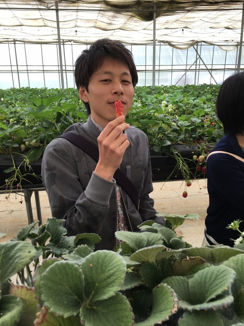 2016424いちご狩り_3628