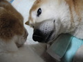 DSCN1261