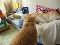 DSCN0949