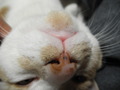 DSCN0974