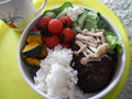 DSCN0768