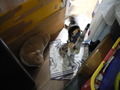 DSCN1245