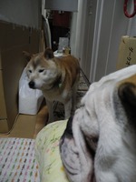 DSCN0606 - コピー