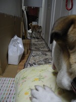 DSCN0607 - コピー