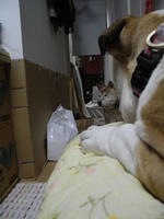 DSCN0612 - コピー