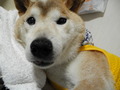 DSCN0838