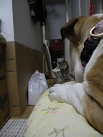 DSCN0613 - コピー