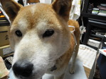 DSCN0360