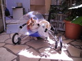 DSCN0745