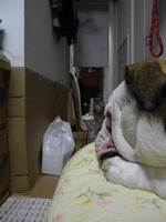 DSCN0614 - コピー
