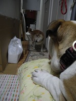 DSCN0610 - コピー