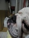 DSCN0603 - コピー