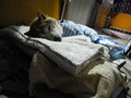 DSCN1228