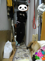 BlogPaint