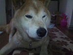 130704_1012071 - コピー