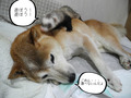 BlogPaint