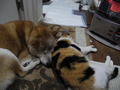 DSCN0589