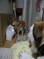 DSCN0605 - コピー