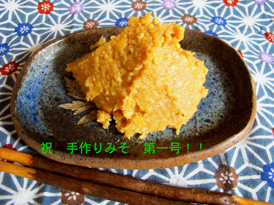 miso-R