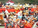 2011-5-13no21